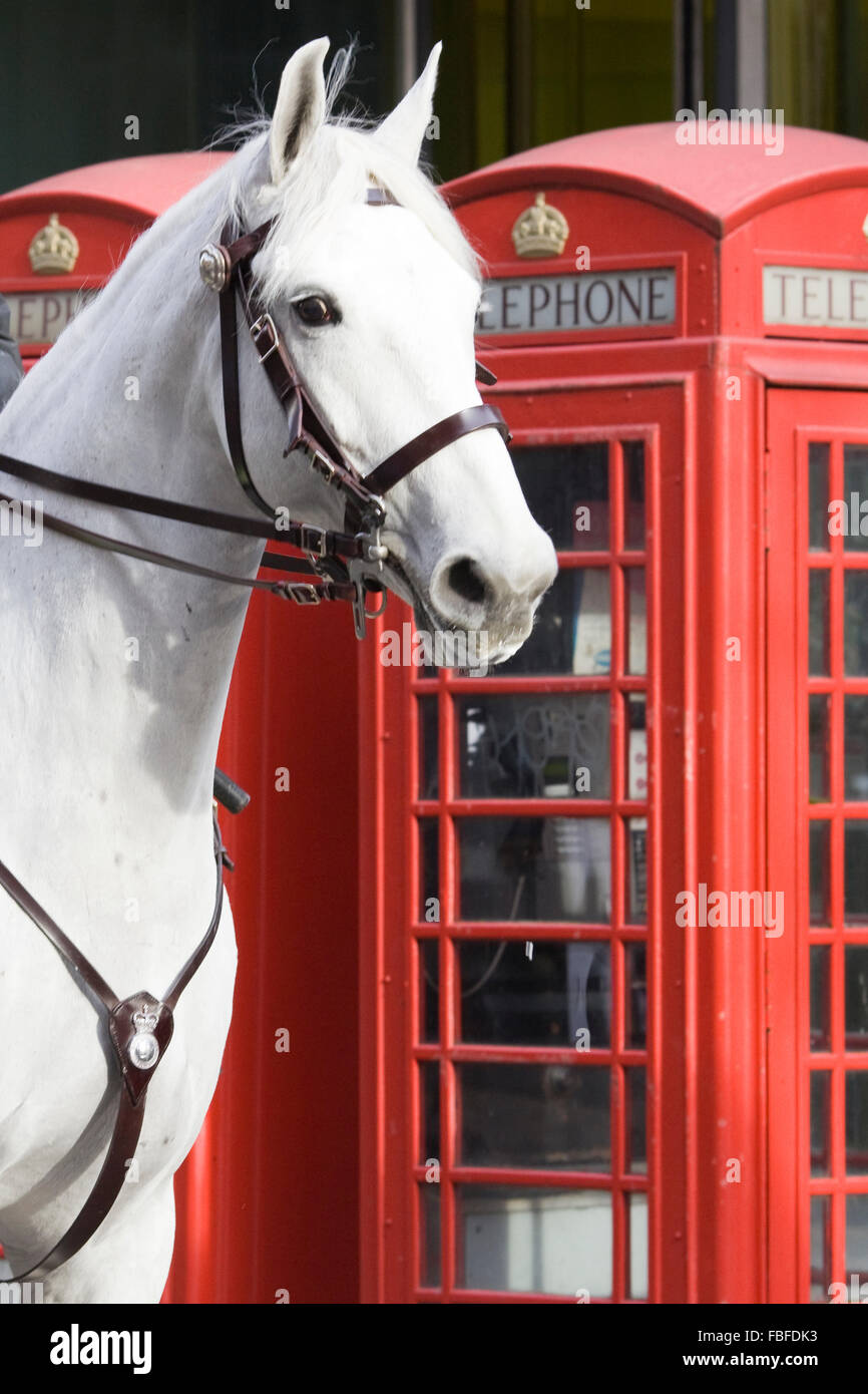 Mounted Police Officer walking past Red Telephone boxes in London England Stock Photo