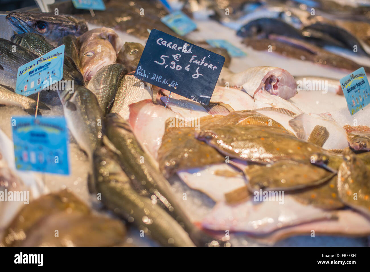 High Angle View Of Fish And Meat On Display At Store Stock Photo