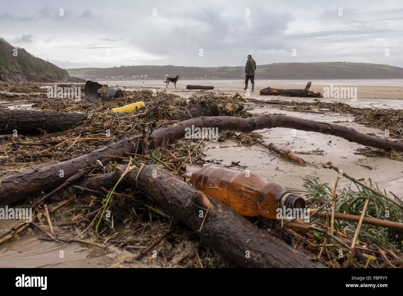 Detritus washed up on Llansteffan Beach after high tide following unseasonable wet winter. Carmarthenshire. South Wales. UK. Stock Photo
