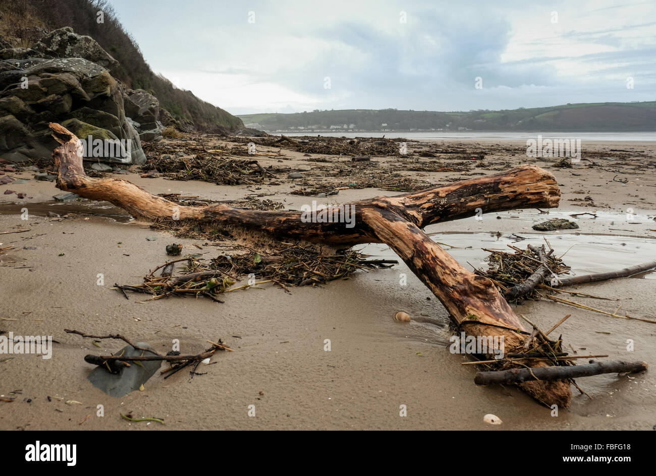 Detritus washed up on Llansteffan Beach after high tide following unseasonable wet winter. Carmarthenshire. South Wales. UK. Stock Photo