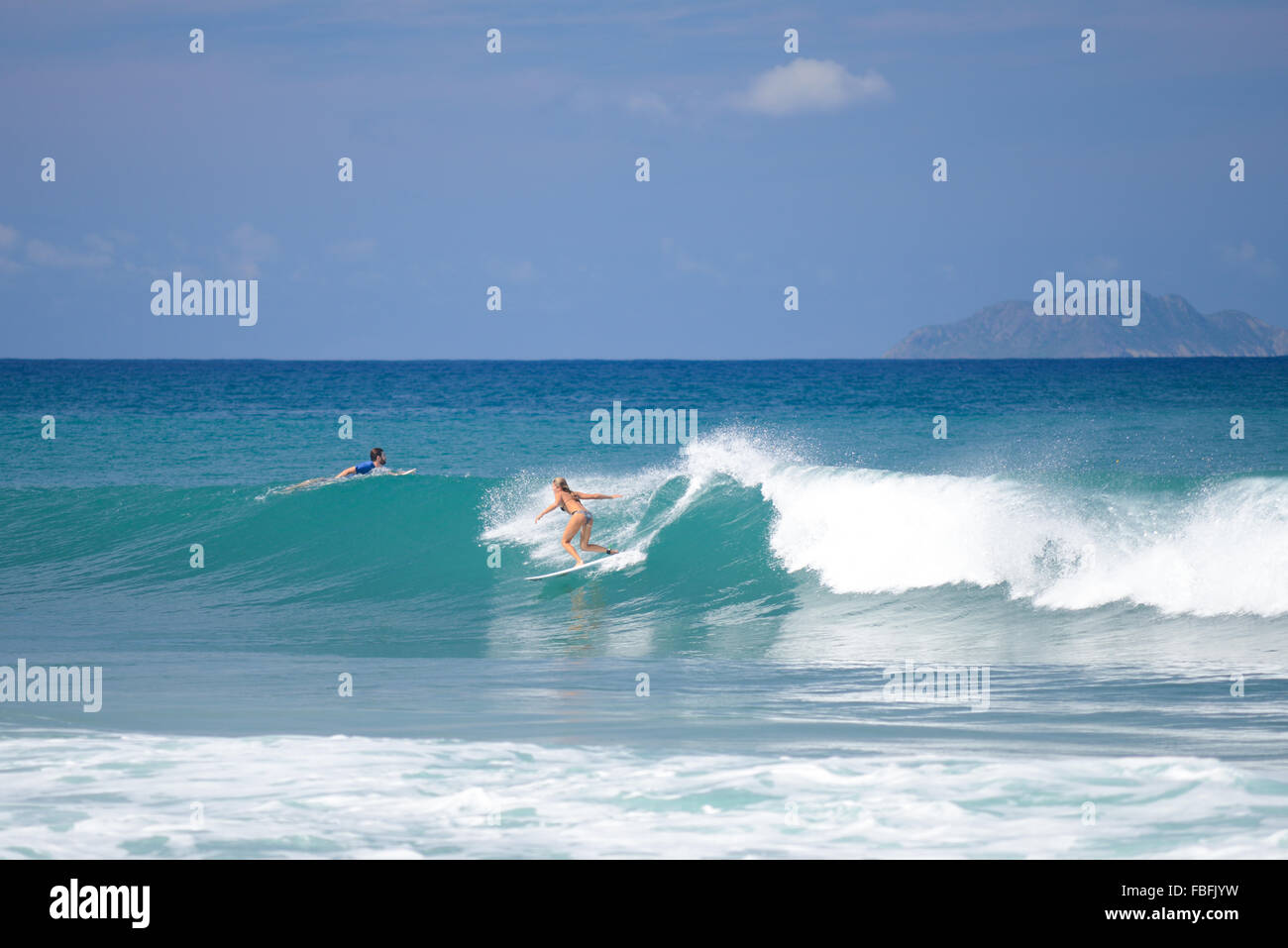 Female surfer catching a wave at Dome's Beach. Rincon, Puerto Rico. USA territory. Caribbean Island. Stock Photo