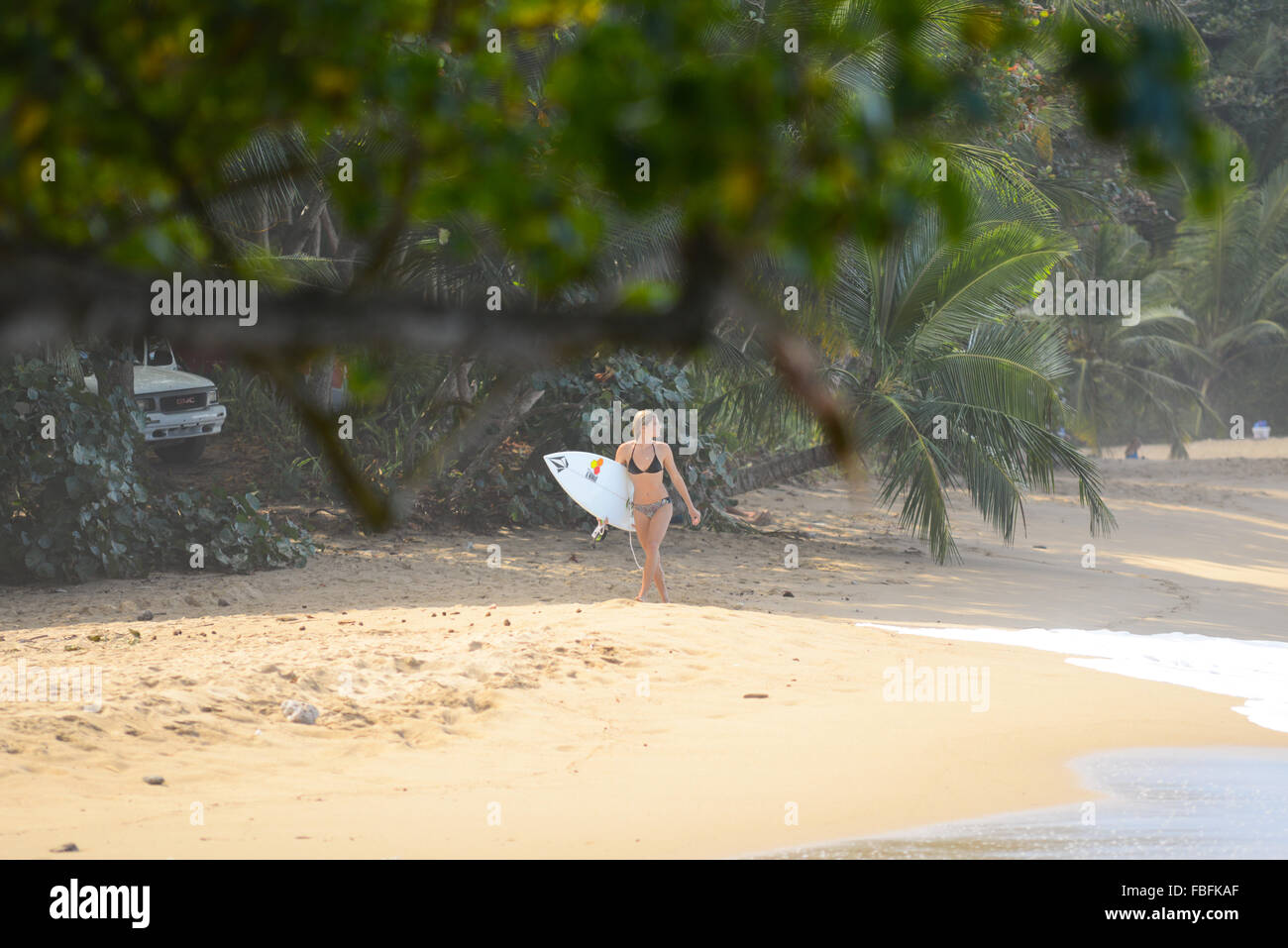 Female surfer at Dome's Beach. Rincon, Puerto Rico. USA territory. Caribbean Island. Stock Photo