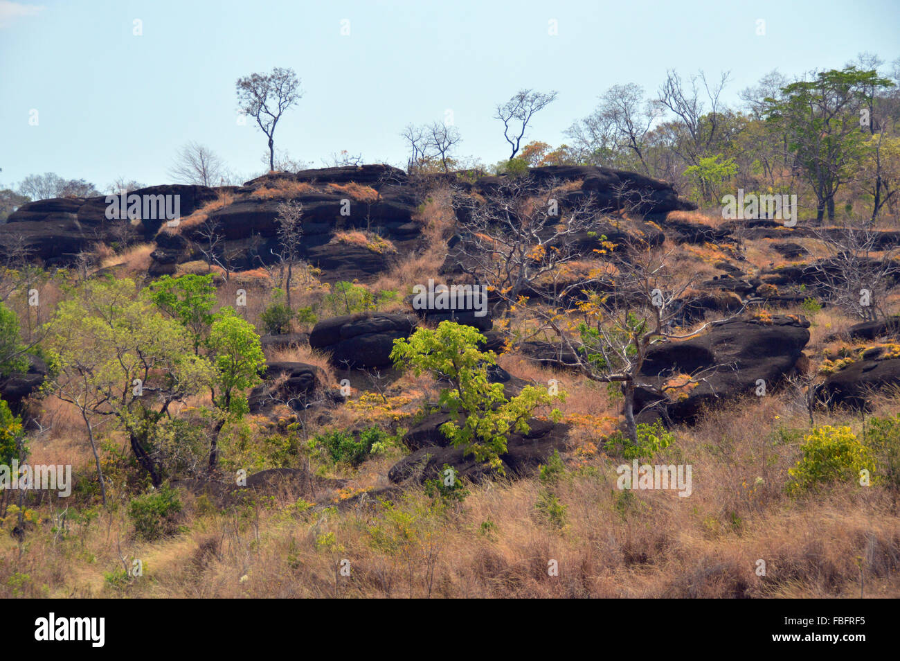 Primitive landscape,chapada dos veadeiros, Brazil, cerrado, flora geology, geologia,Goiás, Brasil Stock Photo