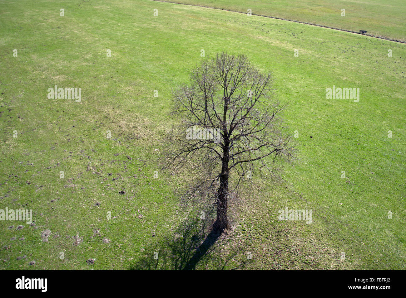 Fields and meadows, photo taken in April at the Pinzgau Valley, Austria. Stock Photo