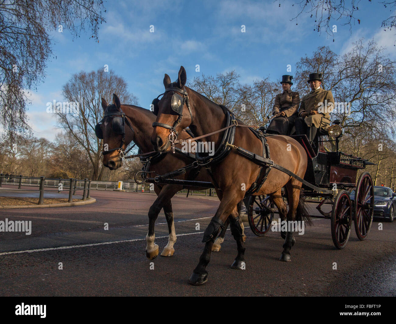 Horse and carriage on Birdcage Walk Stock Photo
