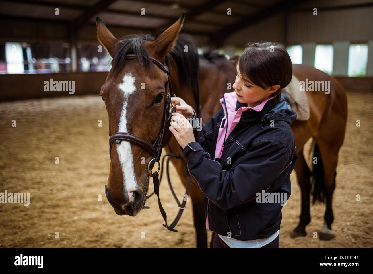 Female rider leading her horse Stock Photo - Alamy