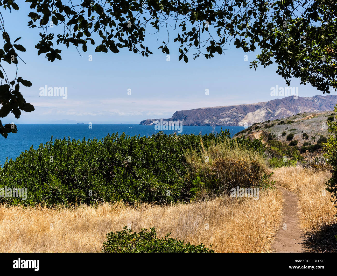 Framed by overhanging tree hi-res stock photography and images - Alamy
