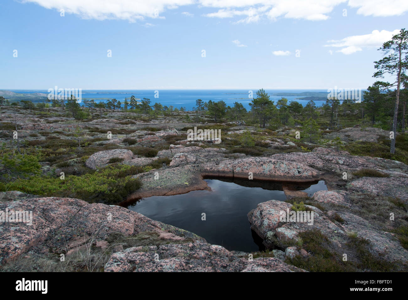 Skuleskogen National Park is a Swedish national park in Vaesternorrland County, on the coast of the Baltic Sea, in northern Swed Stock Photo