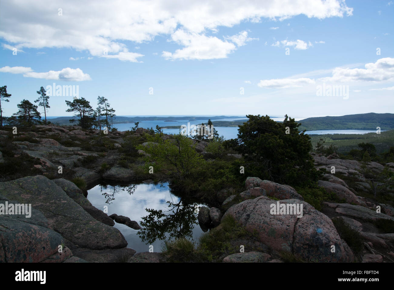 Skuleskogen National Park is a Swedish national park in Vaesternorrland County, on the coast of the Baltic Sea, in northern Swed Stock Photo