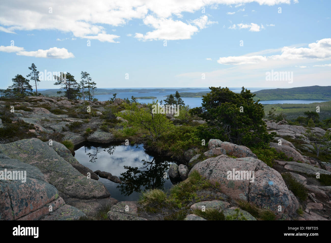 Skuleskogen National Park is a Swedish national park in Vaesternorrland County, on the coast of the Baltic Sea, in northern Swed Stock Photo