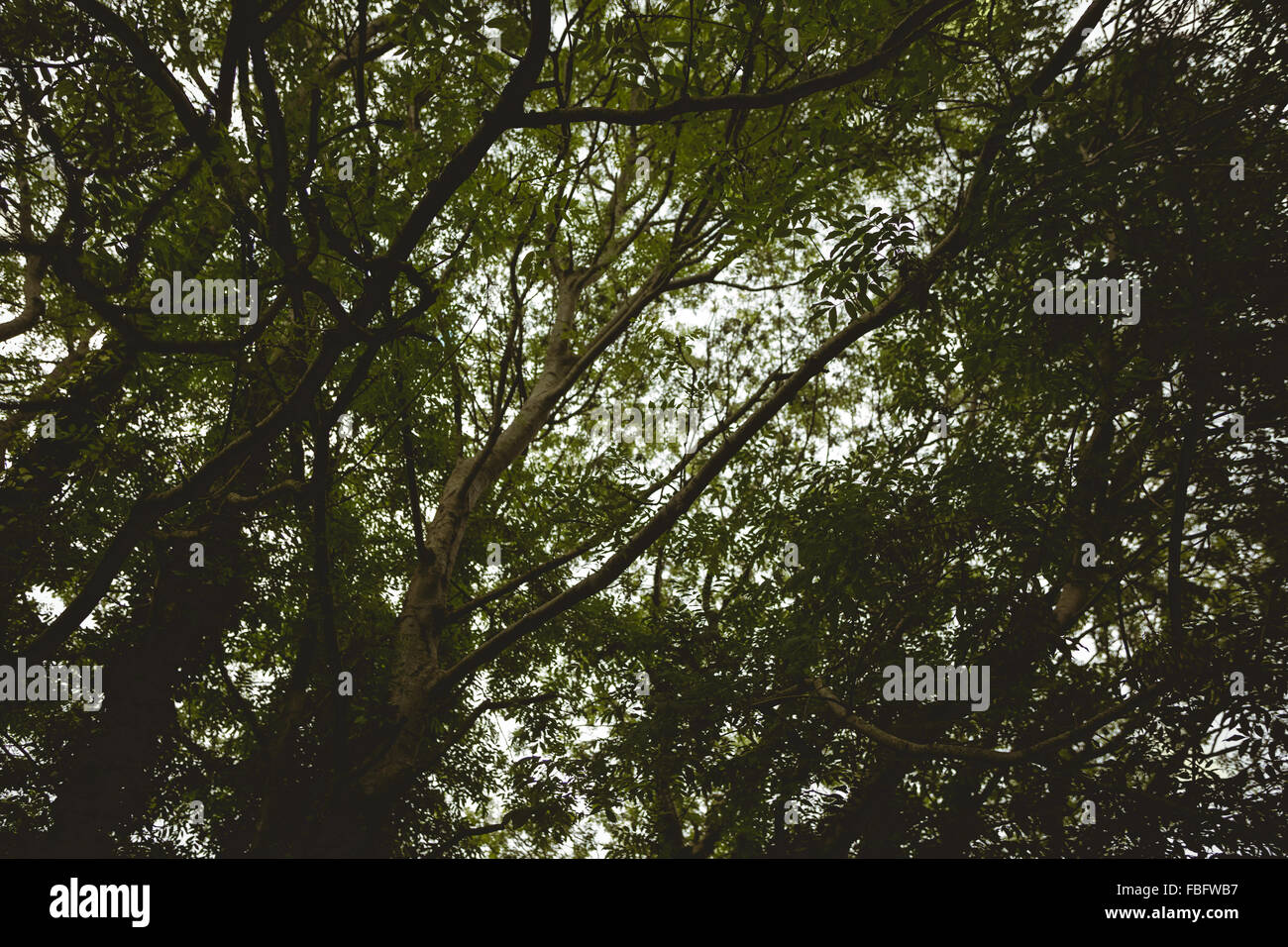 Countryside view hi-res stock photography and images - Alamy