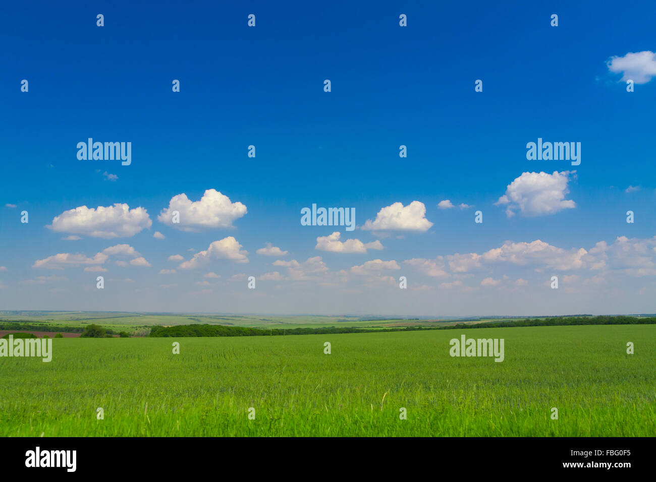 Landscape Nature. The blue sky and clouds Stock Photo - Alamy