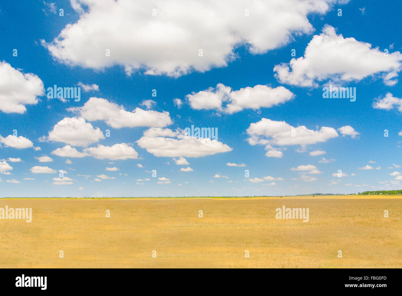 Landscape Nature. The blue sky and clouds Stock Photo - Alamy
