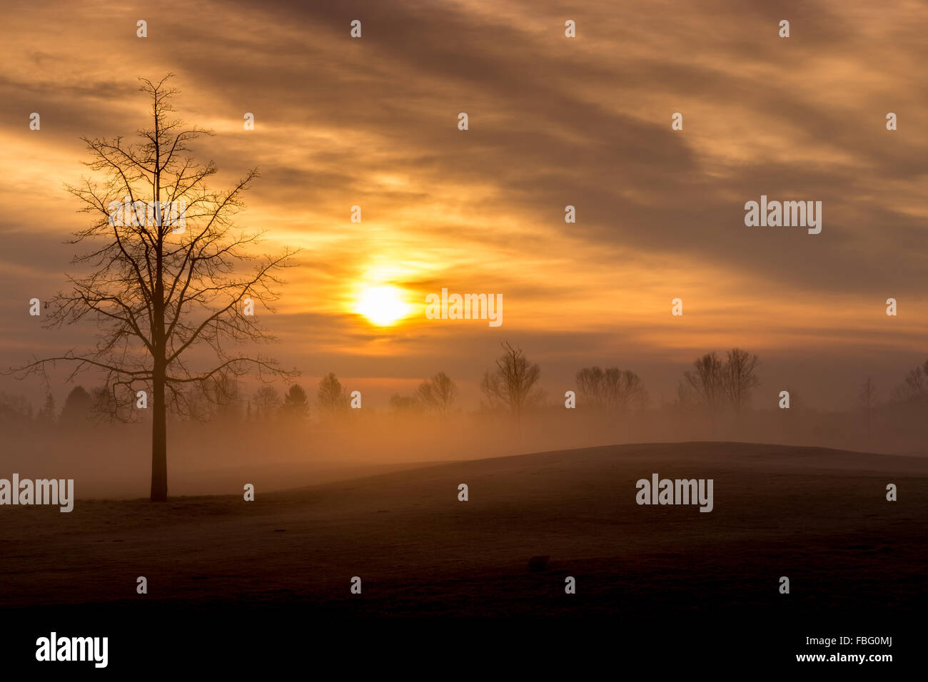 Morning in Bavaria, Germany, with lifting fog. Stock Photo
