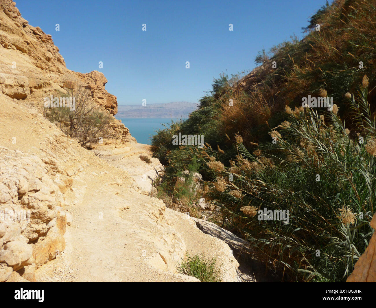 Beautiful hiking trail with a view of the dead sea in the background in Ein Gedi Nature Reserve, Israel Stock Photo
