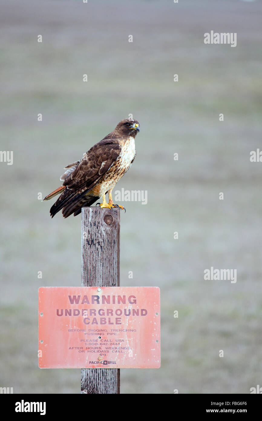 Underground cable warning sign hi-res stock photography and images - Alamy
