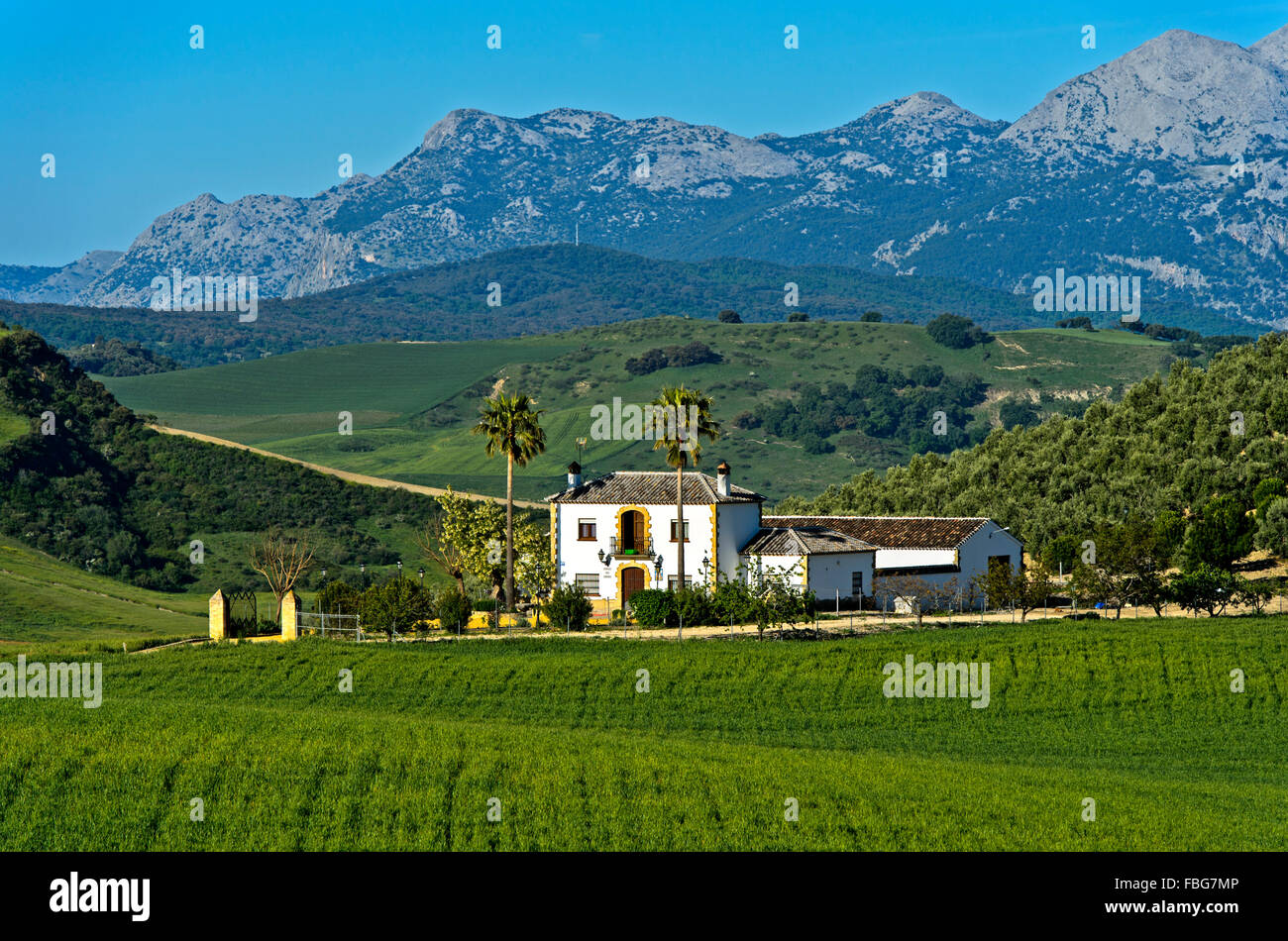 Andalusian hills, finca, Torre Alháquime, Andalucía, Spain Stock Photo