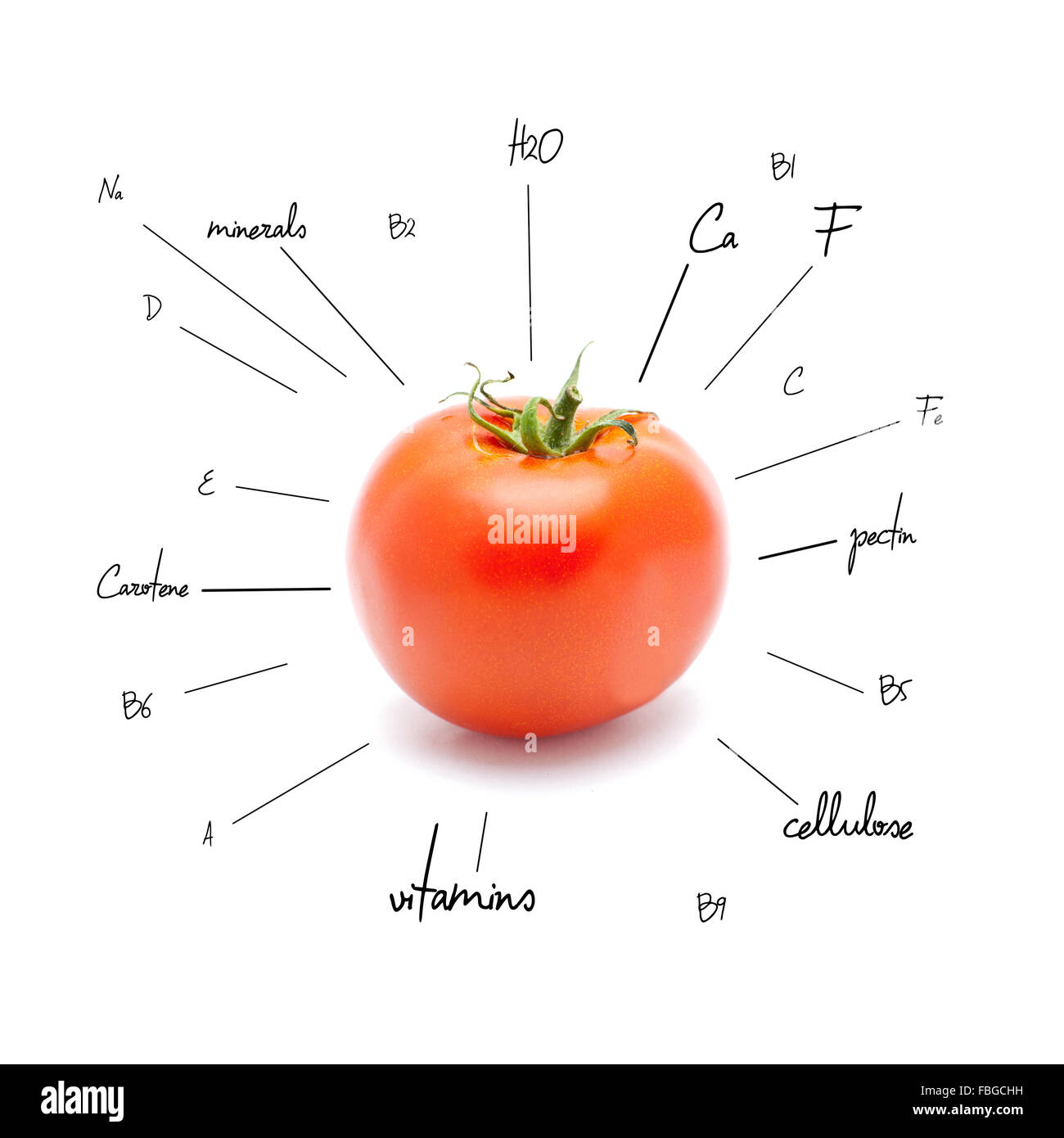 The chemical composition of tomato Stock Photo