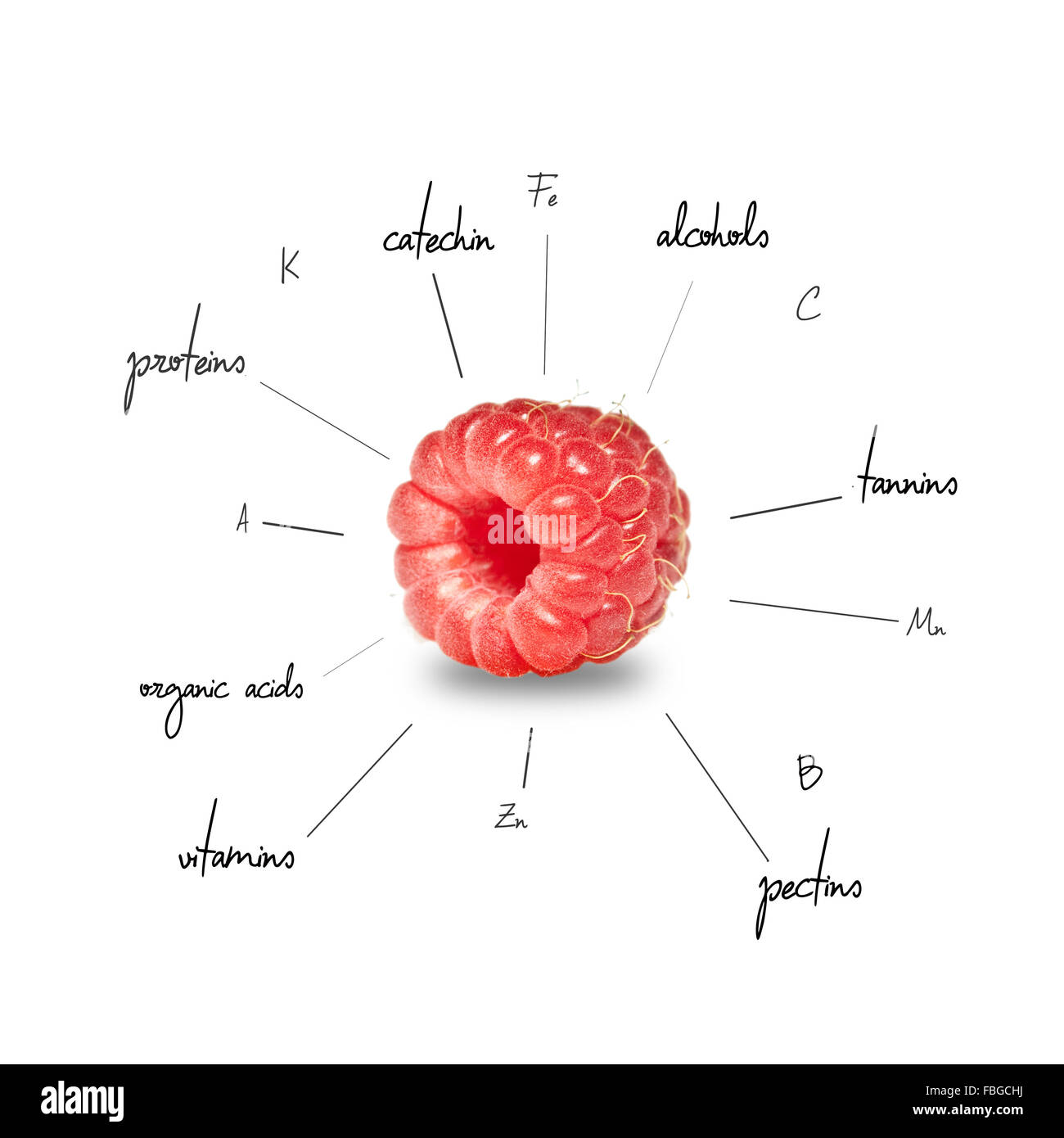 The chemical composition of raspberry Stock Photo