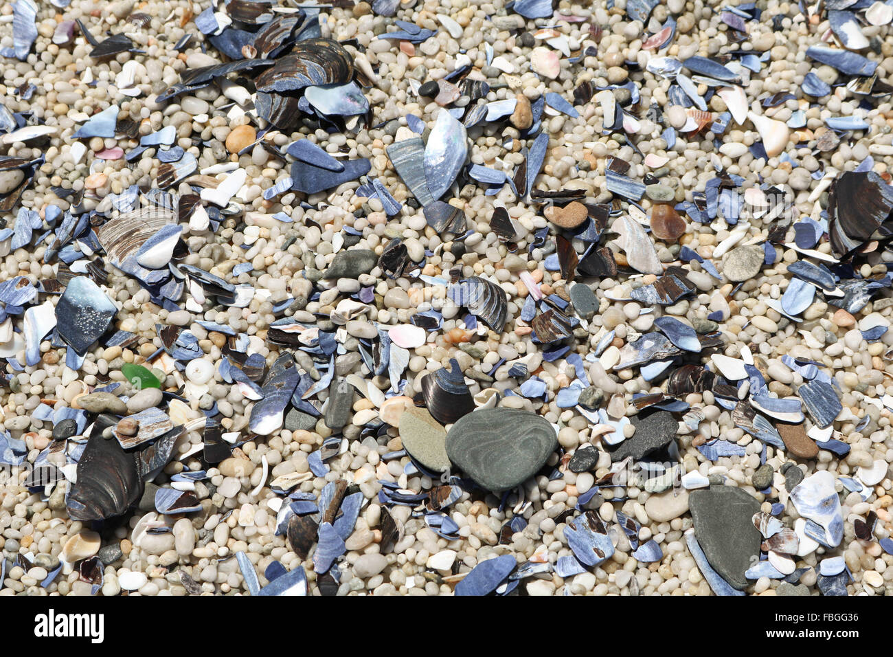 Detailed sand and crushed shells on beach at Bloubergstrand, Cape Town, South Africa Stock Photo