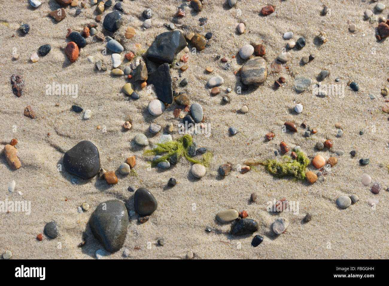 Stones and seaweed on sand beach in close up Stock Photo