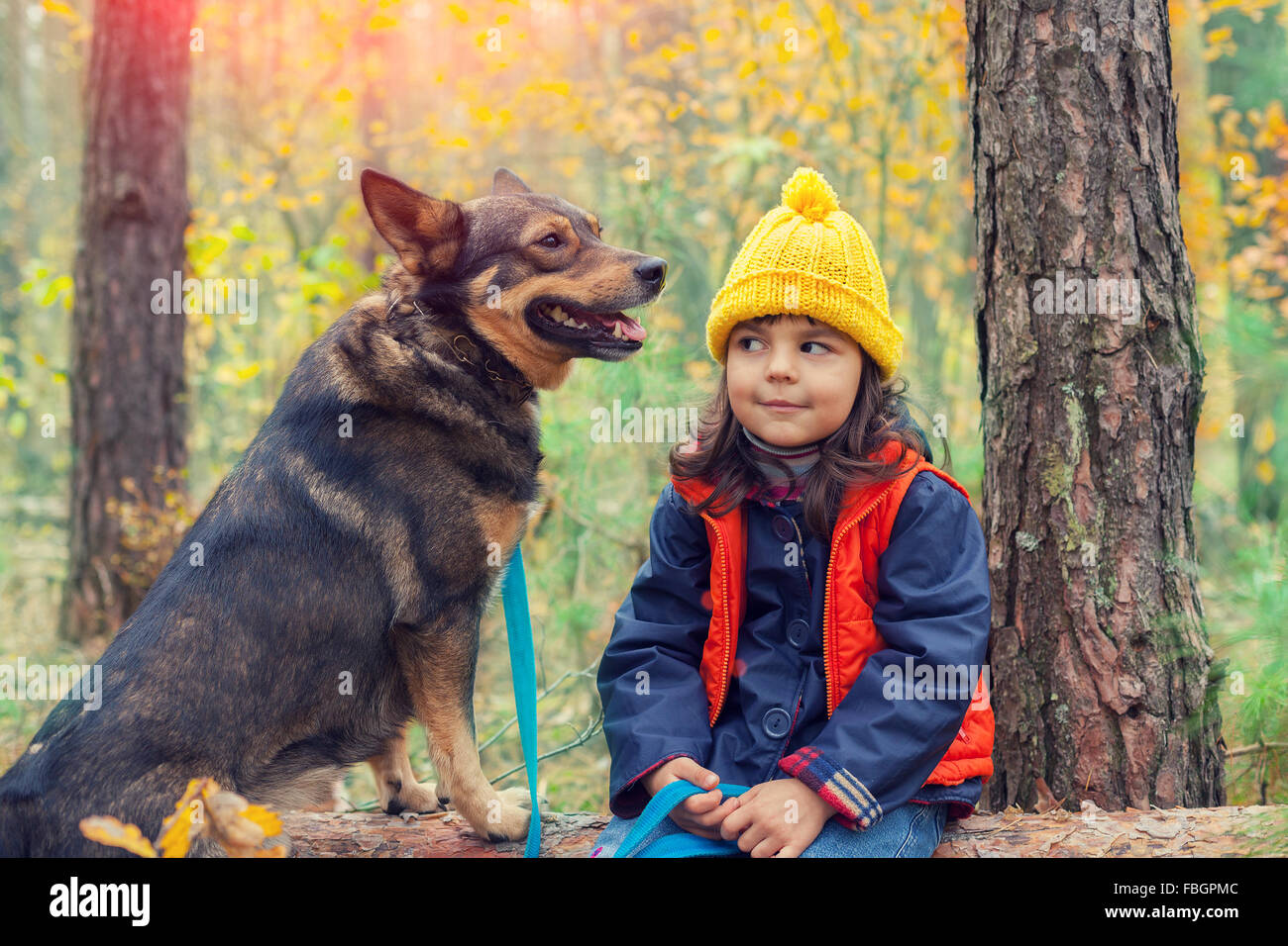 Happy little girl with dog in the autumn forest Stock Photo - Alamy