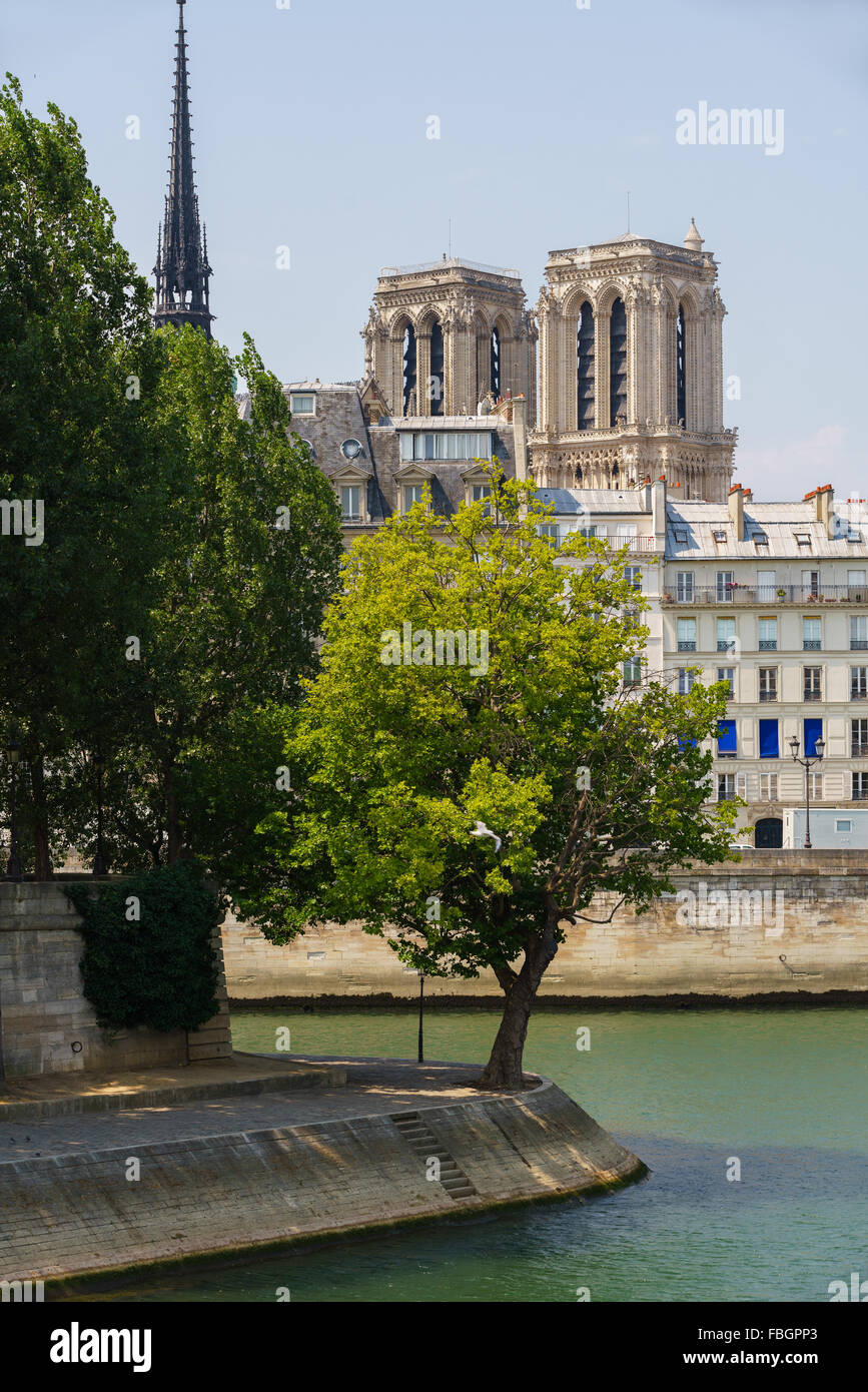 Tip of Ile Saint Louis with towers and spire of Notre Dame de Paris Cathedral on Ile de la Cite, along the Seine River in summer Stock Photo