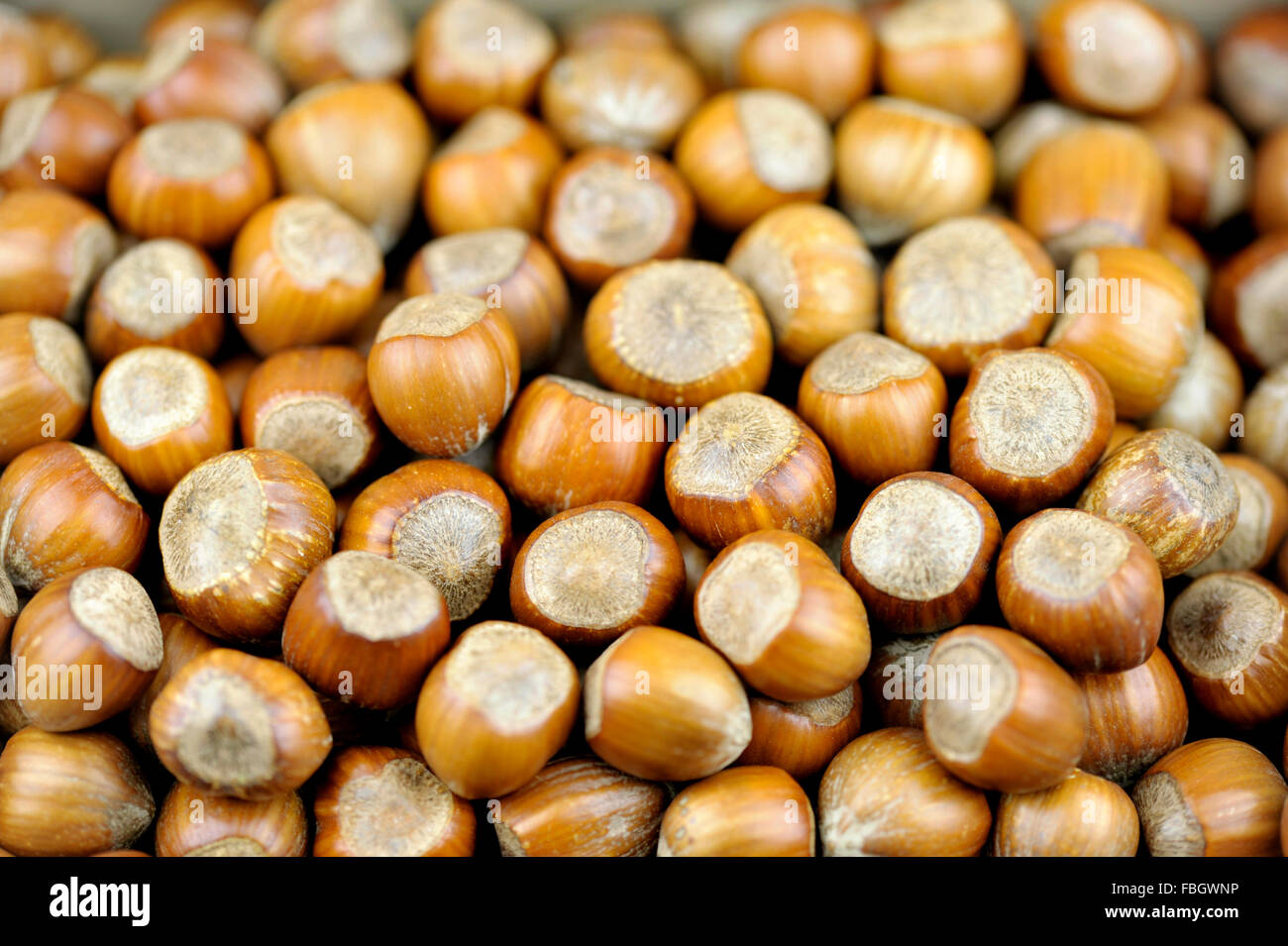 Whole Hazel nuts, also known as Cob nuts or Filberts Stock Photo Alamy