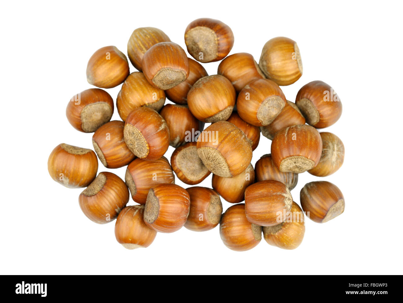 Whole Hazel nuts, also known as Cob nuts or Filberts Stock Photo Alamy