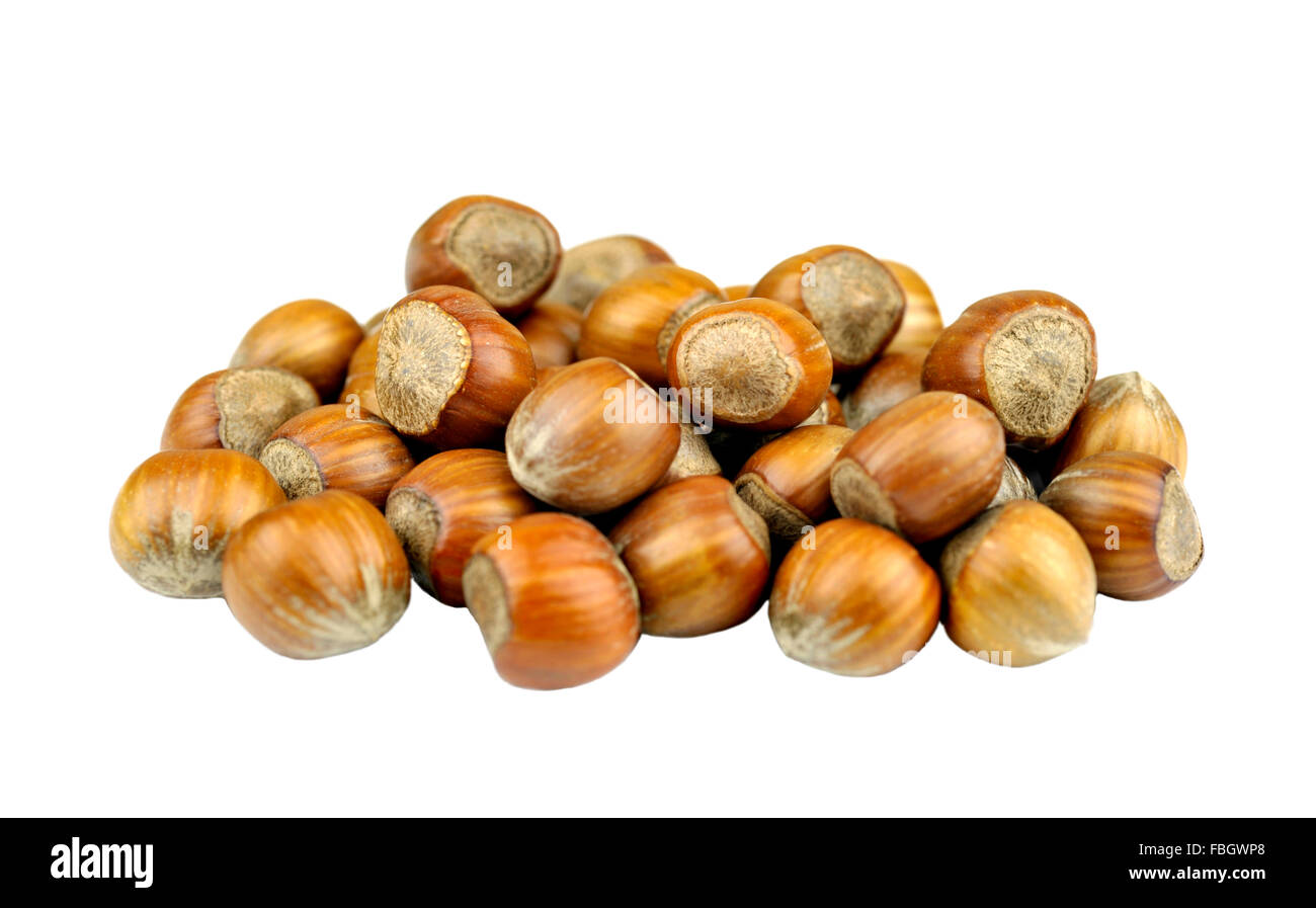 Whole Hazel nuts, also known as Cob nuts or Filberts Stock Photo Alamy