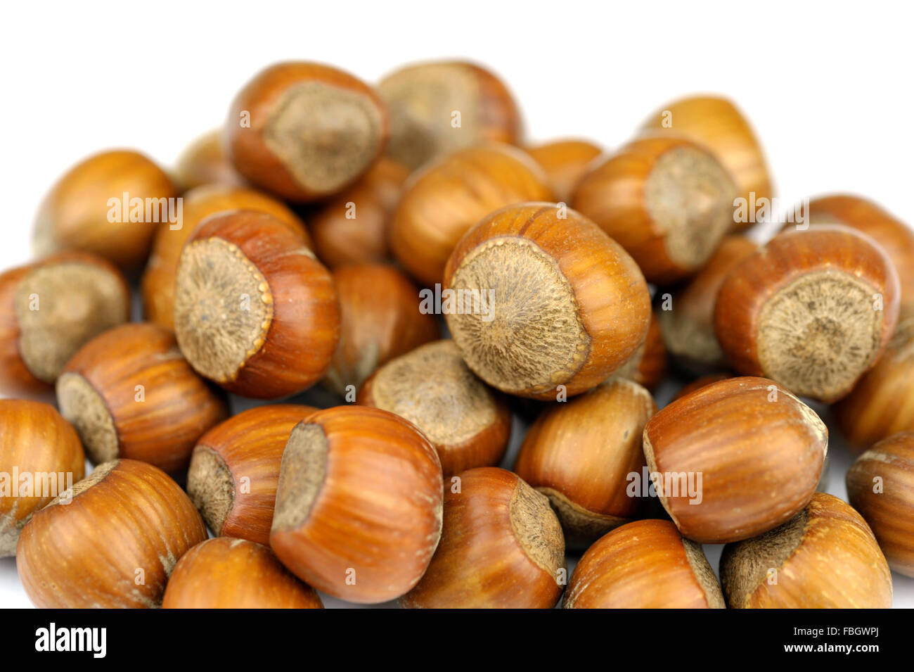 Whole Hazel nuts, also known as Cob nuts or Filberts Stock Photo Alamy