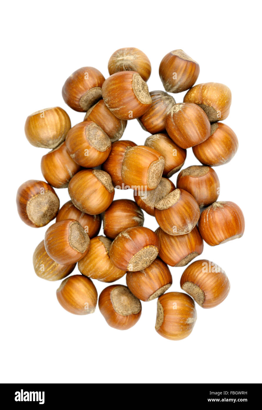 Whole Hazel nuts, also known as Cob nuts or Filberts Stock Photo Alamy