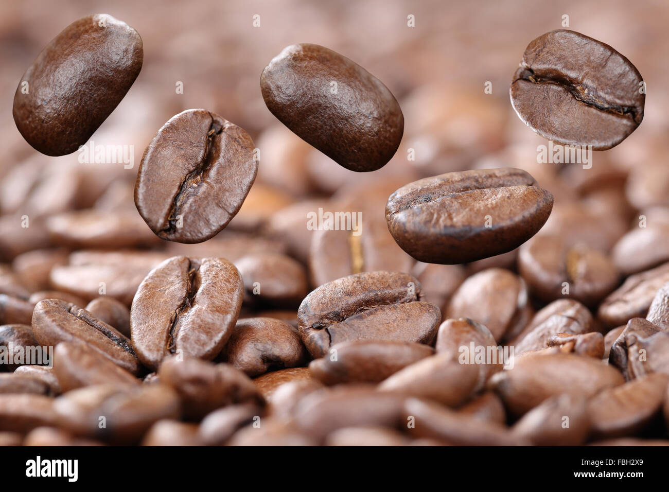 Fresh flying coffee beans fly bean Arabica Espresso Stock Photo Alamy
