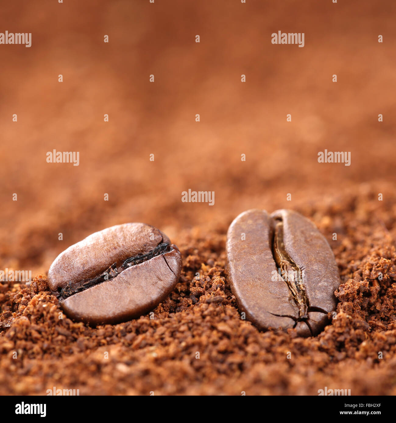 Ground coffee beans with copy space copyspace Arabica Stock Photo Alamy
