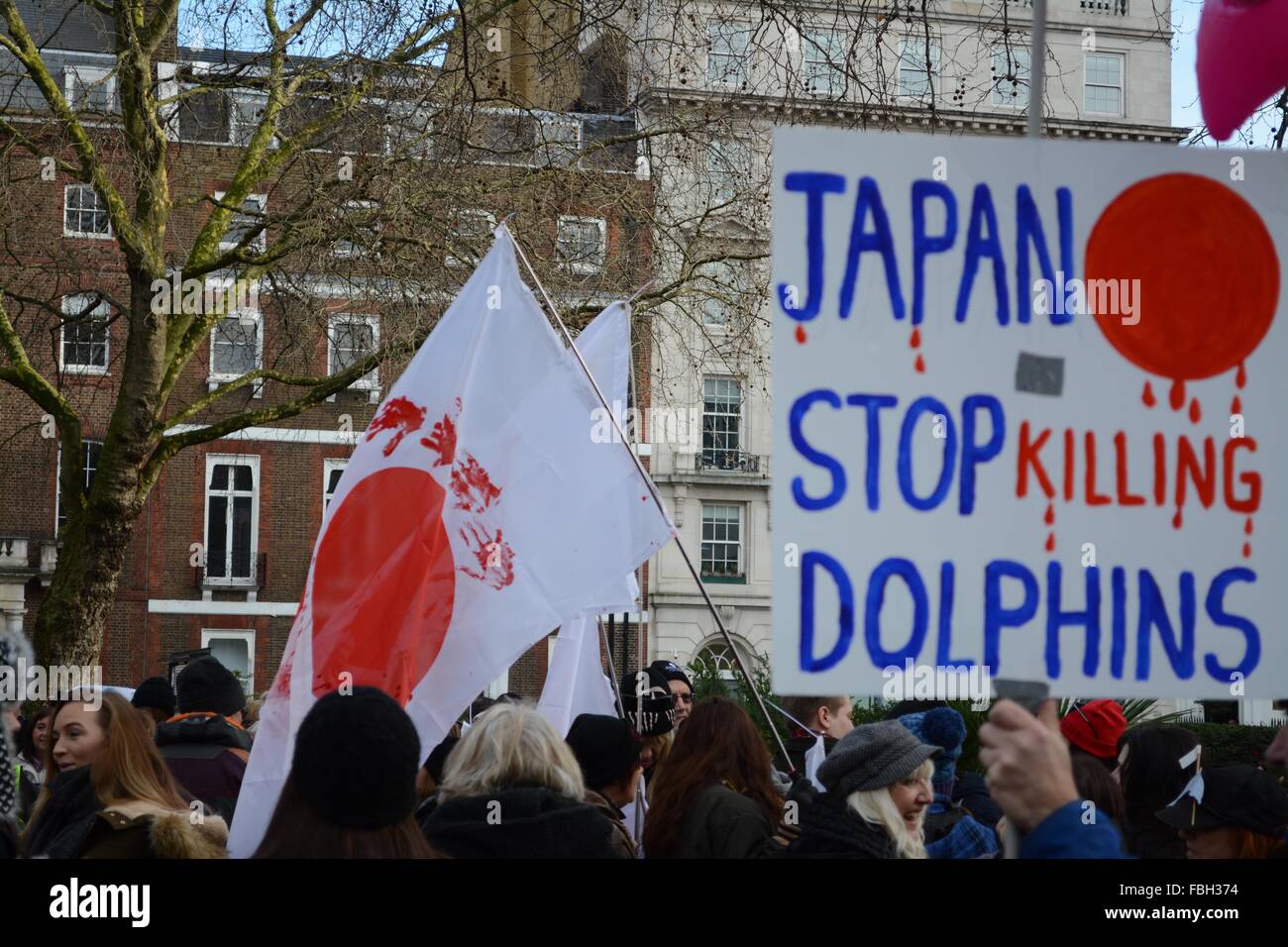 London, UK. 16th Jan, 2016. Protesters stage demonstration in London's Cavendish Square and embark on a march to the Japanese Embassy in protest to the Taiji dolphin hunt. Credit:  Marc Ward/ Alamy Live News Stock Photo