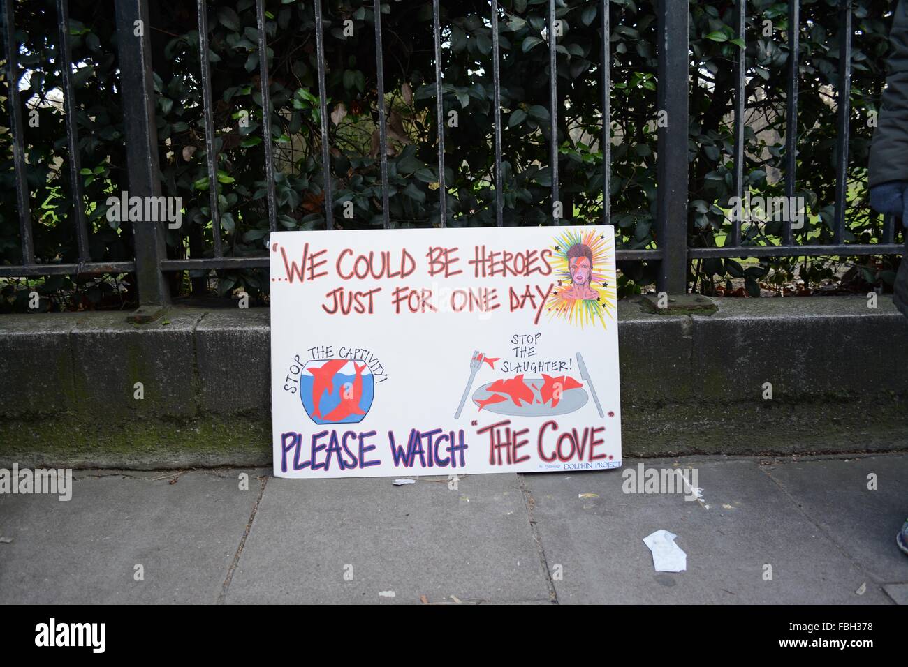 London, UK. 16th Jan, 2016. Tribute to David Bowie, a supporter of the protests, who died this week. Credit:  Marc Ward/ Alamy Live News Stock Photo