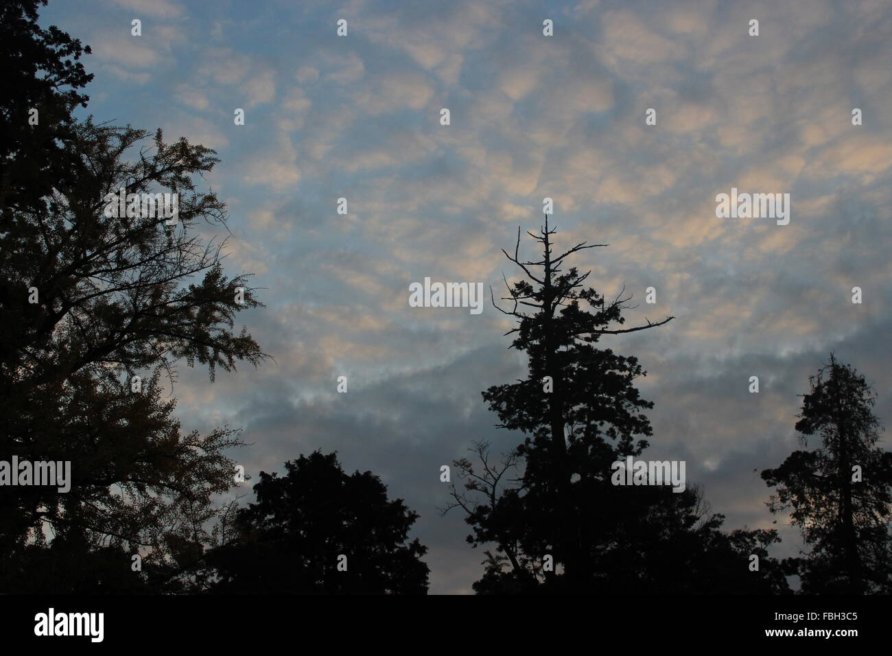 A beautiful evening sky in japan Stock Photo Alamy