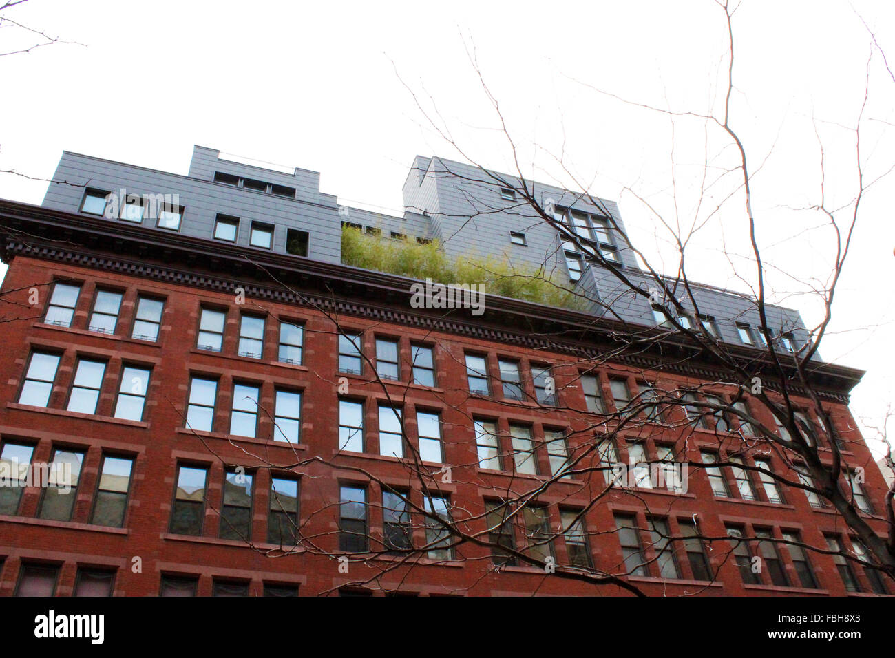david bowie penthouse apartment 285 lafayette st new york 10012 courtney love Stock Photo Alamy
