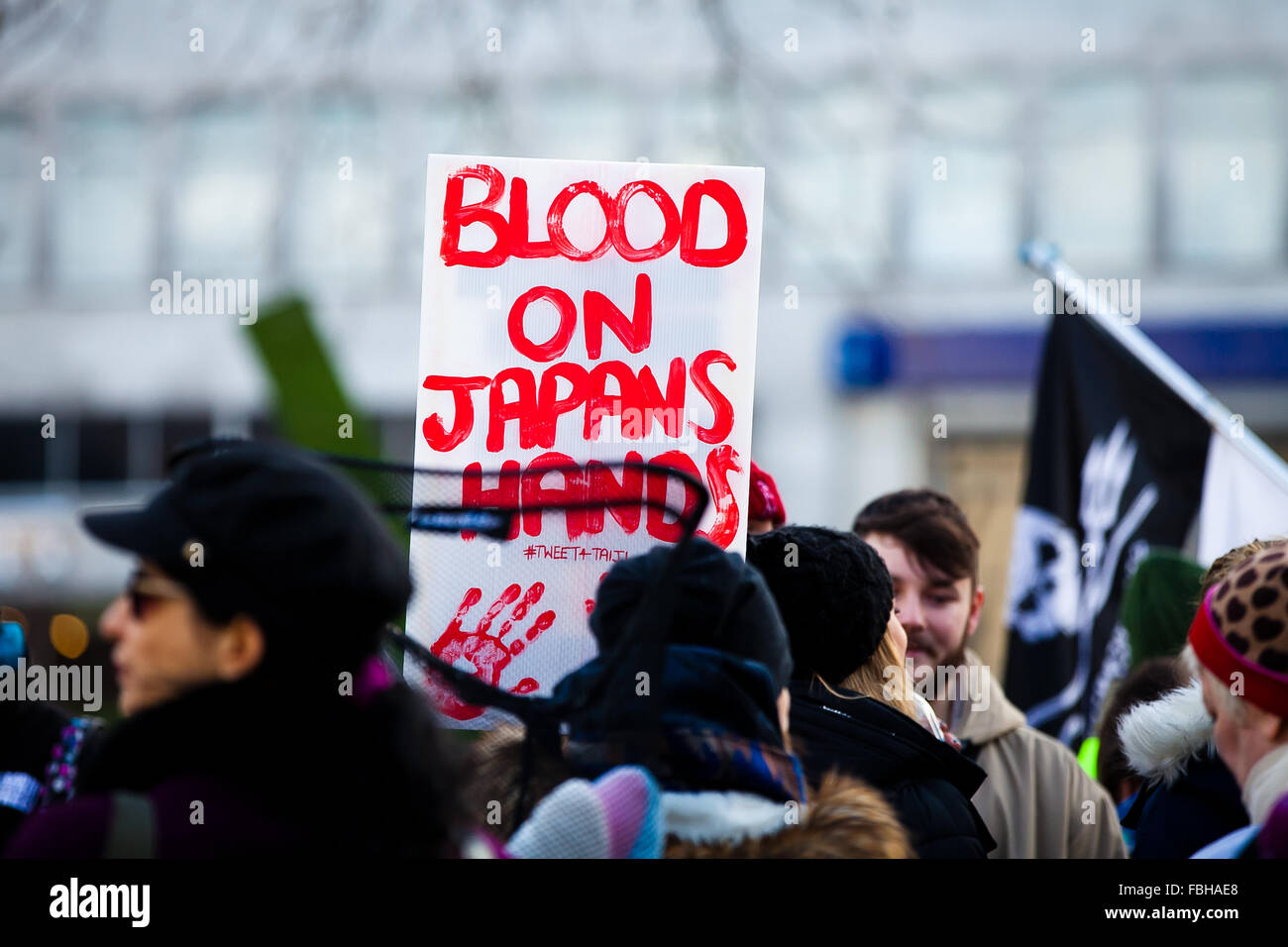 London, 16 January 2016. Animal rights activists with a banner protesting in London against the slaughter of dolphins in Taiji Cove Credit:  Dinendra Haria/Alamy Live News Stock Photo