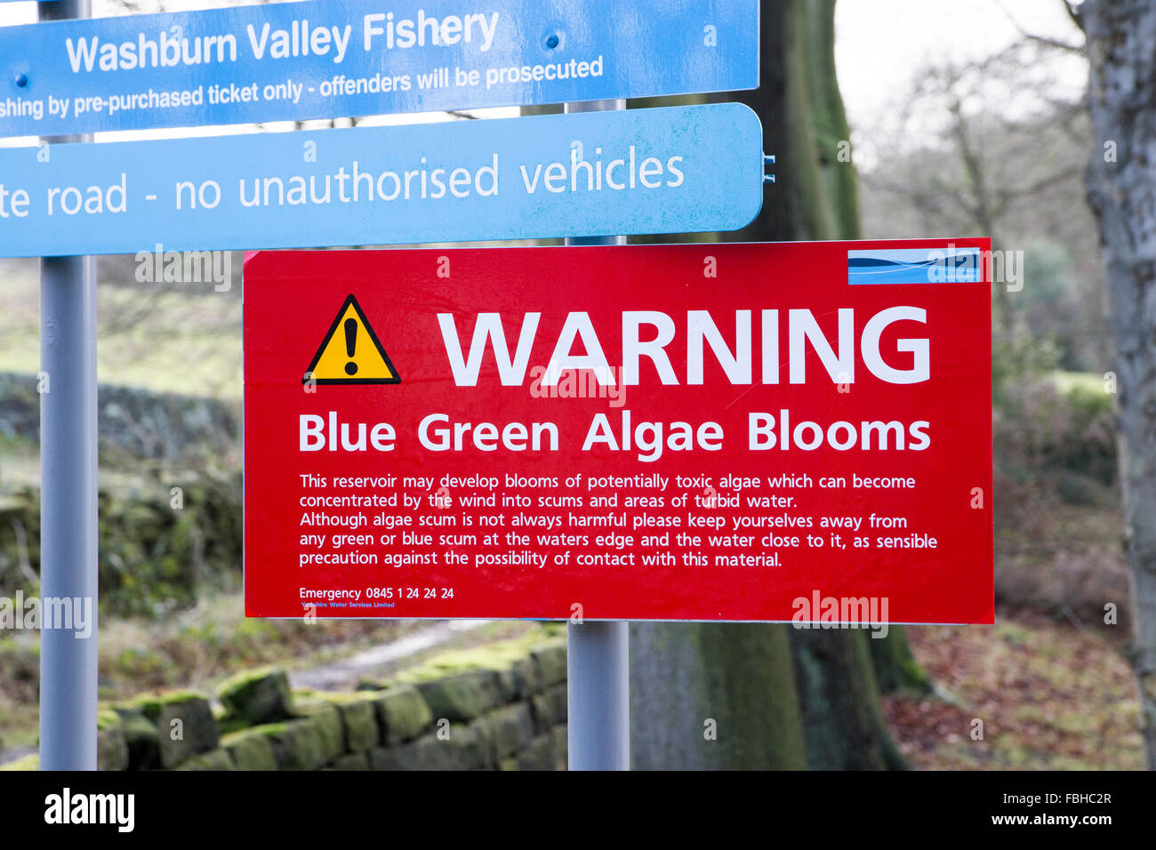 Warning Sign about Blue Green Algae Stock Photo