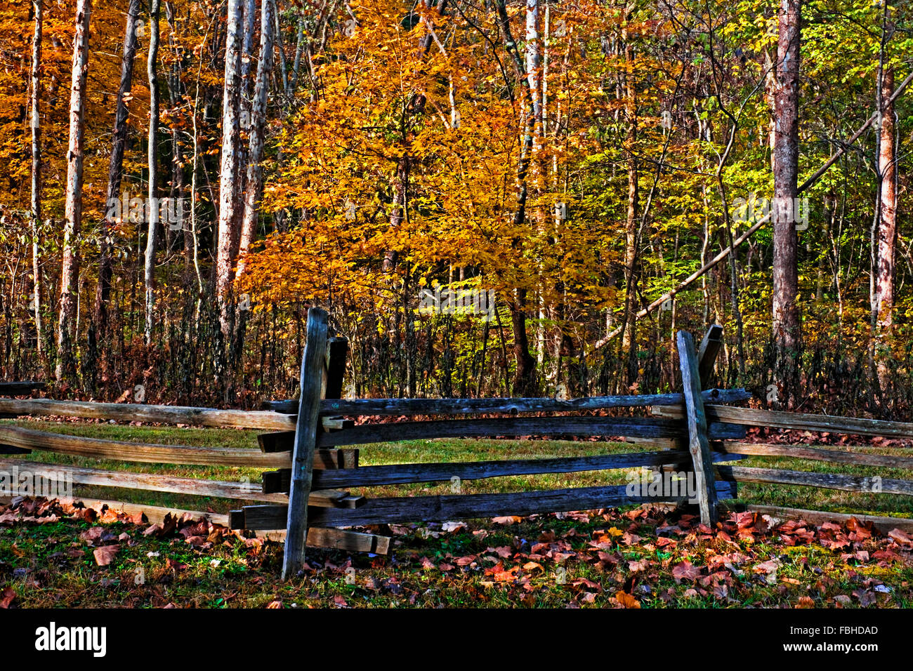 Fence in front of trees hi-res stock photography and images - Alamy