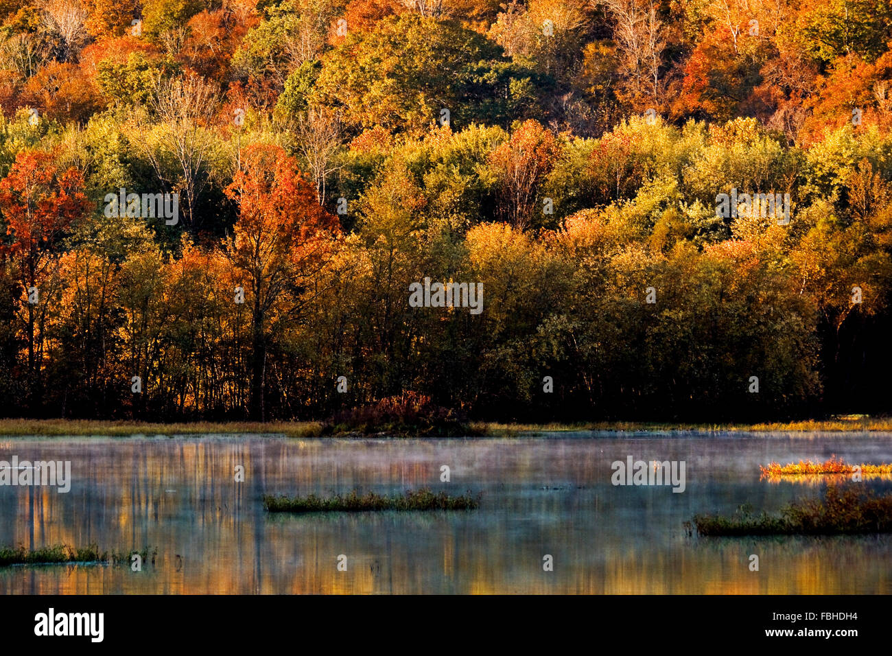 Autumn scenic landscape of a forest hillside in the fall above ...