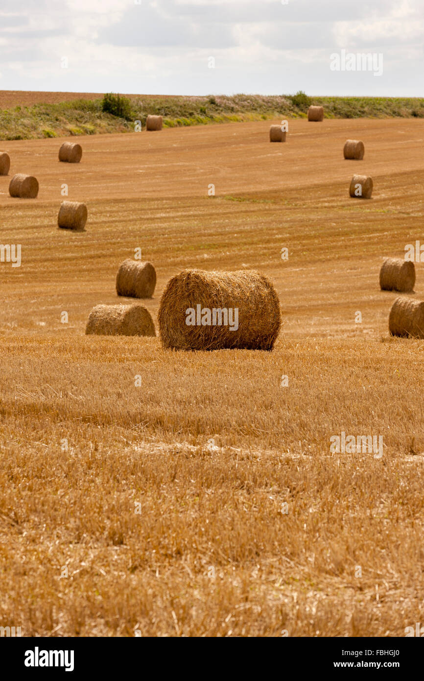 Straw bales in France Stock Photo Alamy