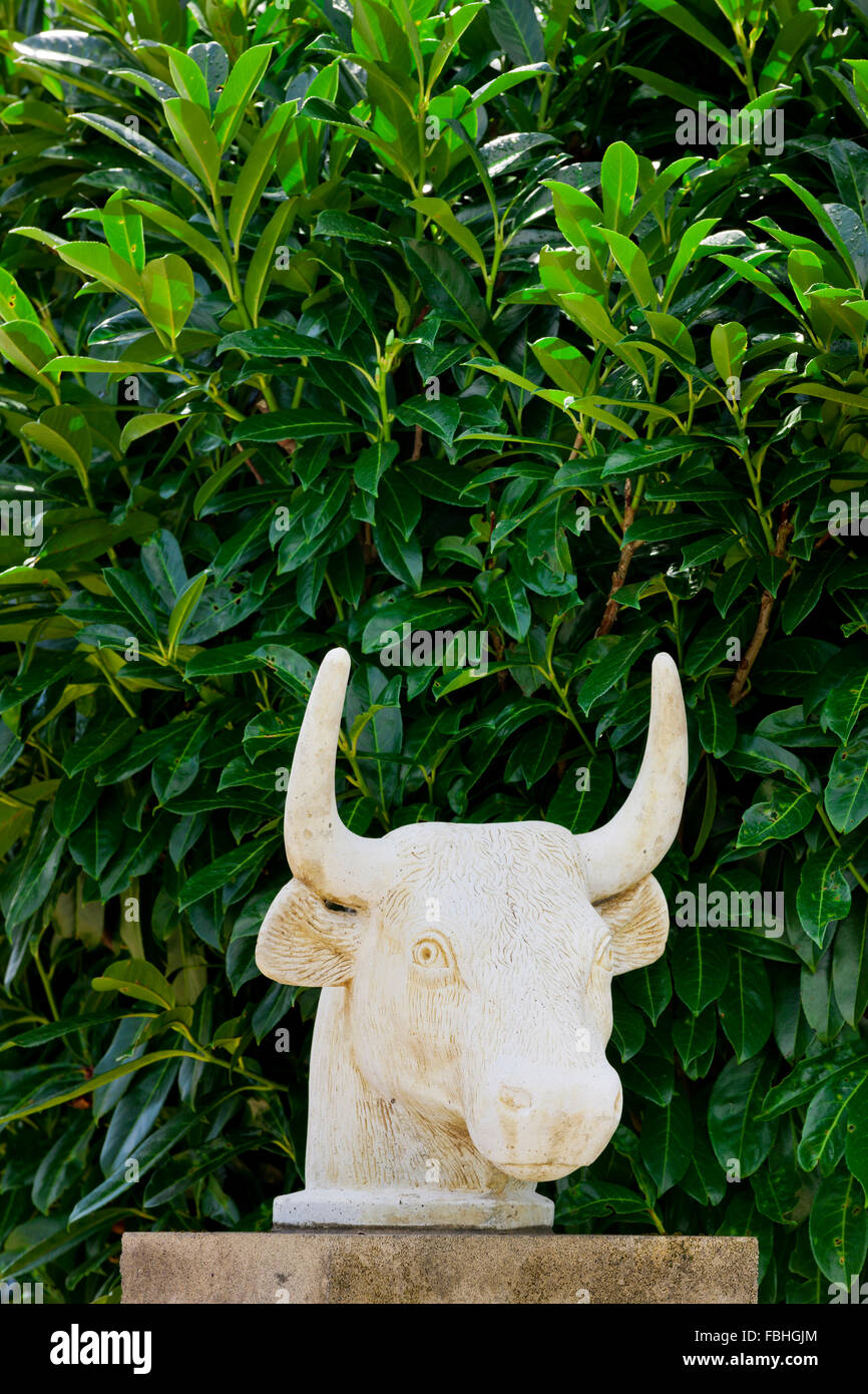 Bull head, sculpture Stock Photo Alamy