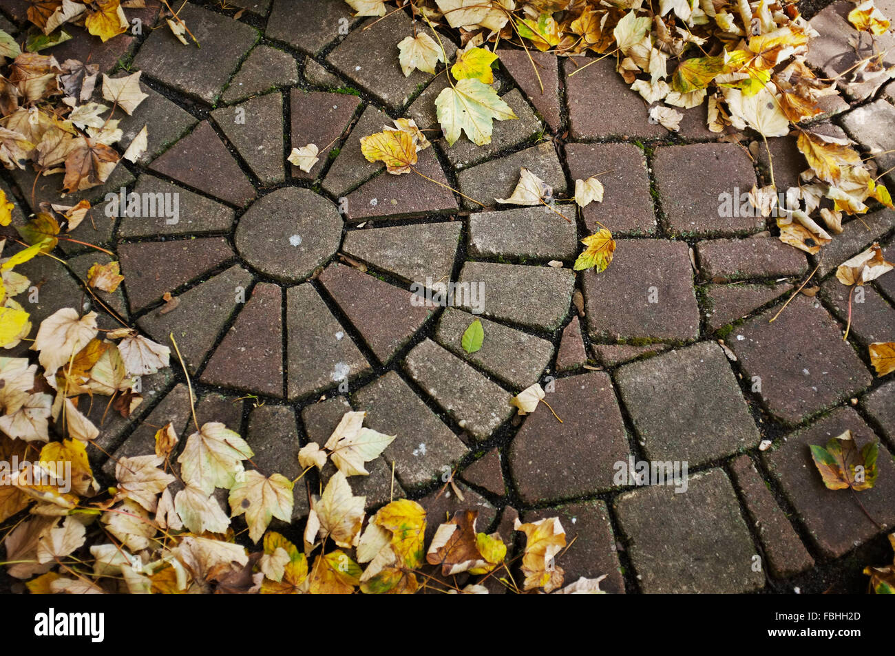 Way, paving stones, autumn foliage Stock Photo Alamy
