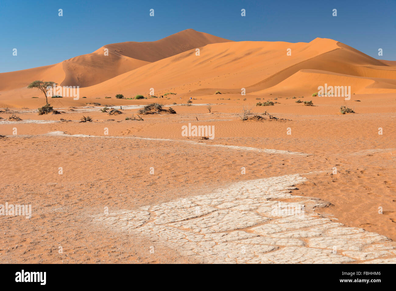 Dune landscape, Sossusvlei, Namib Desert, Namib-Naukluft Park, Hardap Region, Republic of Namibia Stock Photo
