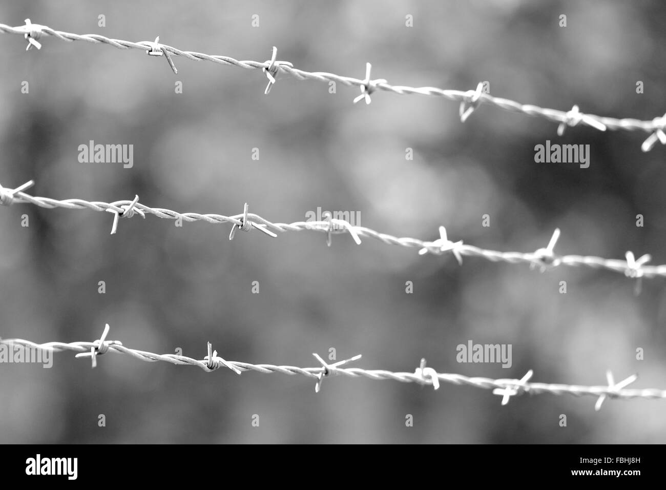 Obstacle wire Black and White Stock Photos & Images - Alamy