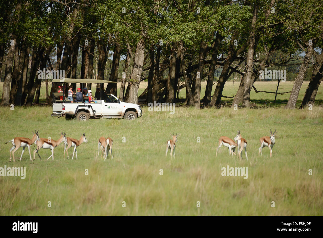 Animal World Game Park, Emerald Resort & Casino, Vanderbijlpark, Emfuleni Municipality, Gauteng,  Republic of South Africa Stock Photo