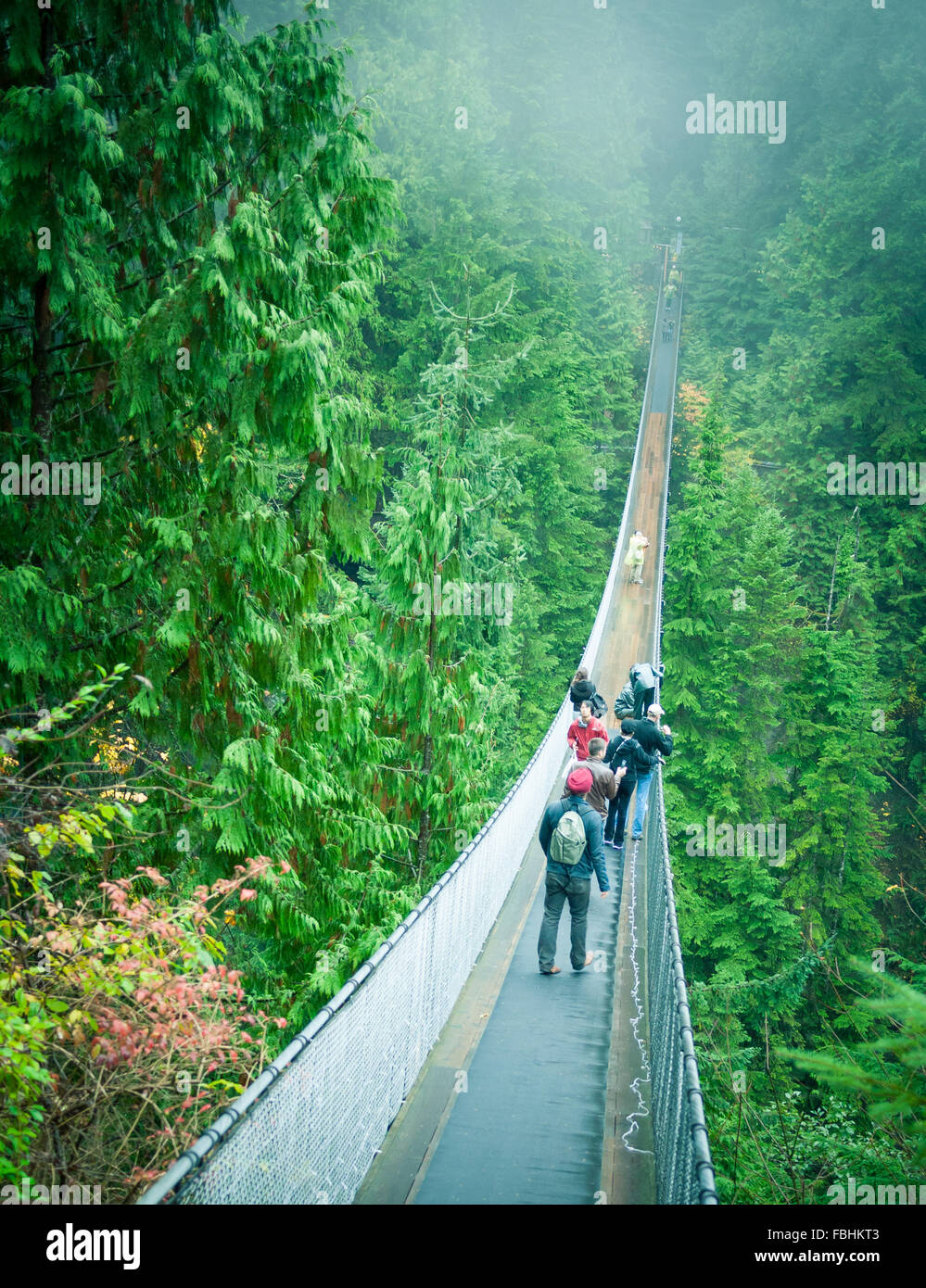 The Capilano Suspension Bridge, a popular tourist attraction at Capilano Suspension Bridge Park in North Vancouver, Canada. Stock Photo
