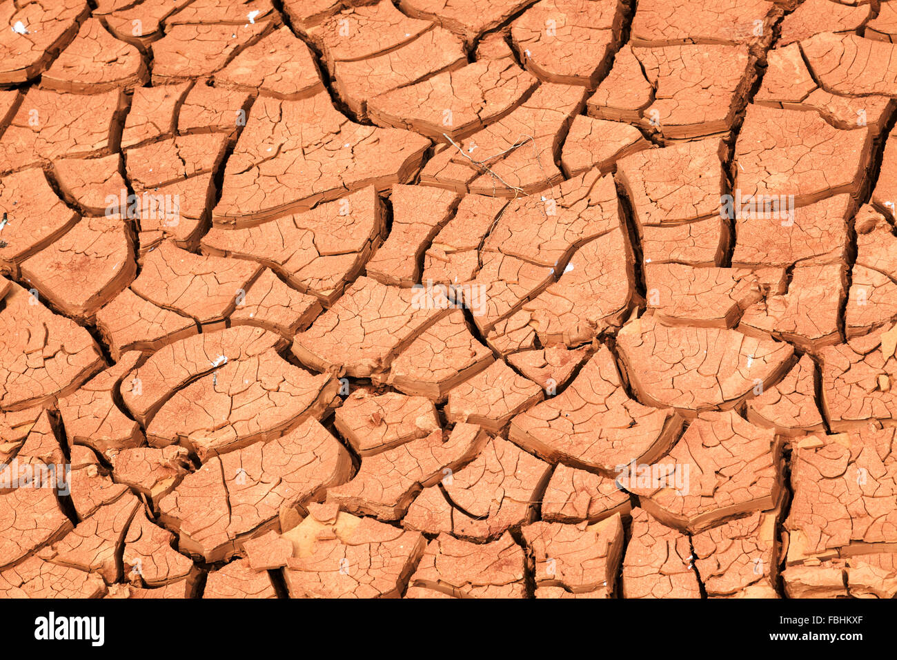 cracked soil because of drought Stock Photo